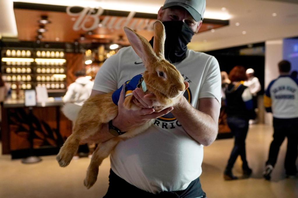 orlandosentinel's tweet image. Beloved ballpark therapy bunny, Alex The Great, has died after complications from cancer trib.al/BEPqMHI