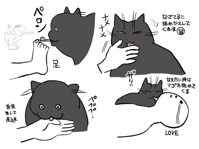 猫絵 