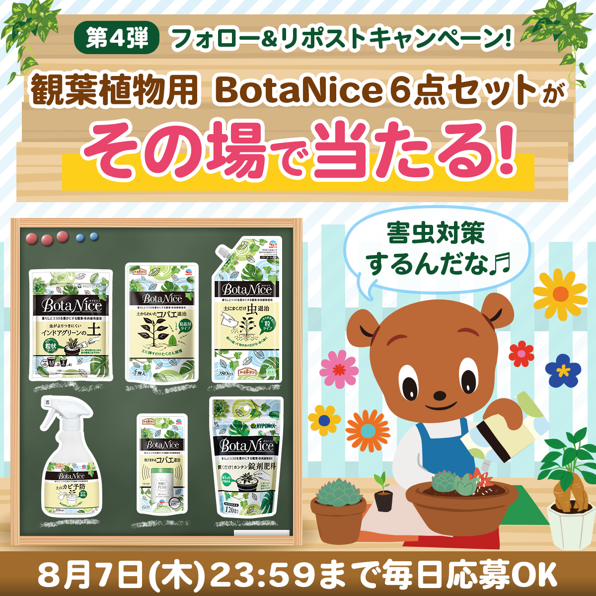 アースガーデンまもるくん (@mamoru_nandana) on Twitter photo \フォロー&リポストでその場で当たる!🎁/
観葉・多肉植物を育てよう🌿
計30名様に #BotaNice6点セット が当たる‼️
■応募方法
①<a href="/Mamoru_nandana/">アースガーデンまもるくん</a> をフォロー
②この投稿をリポスト
③当選者にDMでお知らせ
規約 earth.ownly.jp/join/33698 \フォロー&リポストでその場で当たる!🎁/
観葉・多肉植物を育てよう🌿
計30名様に #BotaNice6点セット が当たる‼️
■応募方法
①<a href="/Mamoru_nandana/">アースガーデンまもるくん</a> をフォロー
②この投稿をリポスト
③当選者にDMでお知らせ
規約 earth.ownly.jp/join/33698