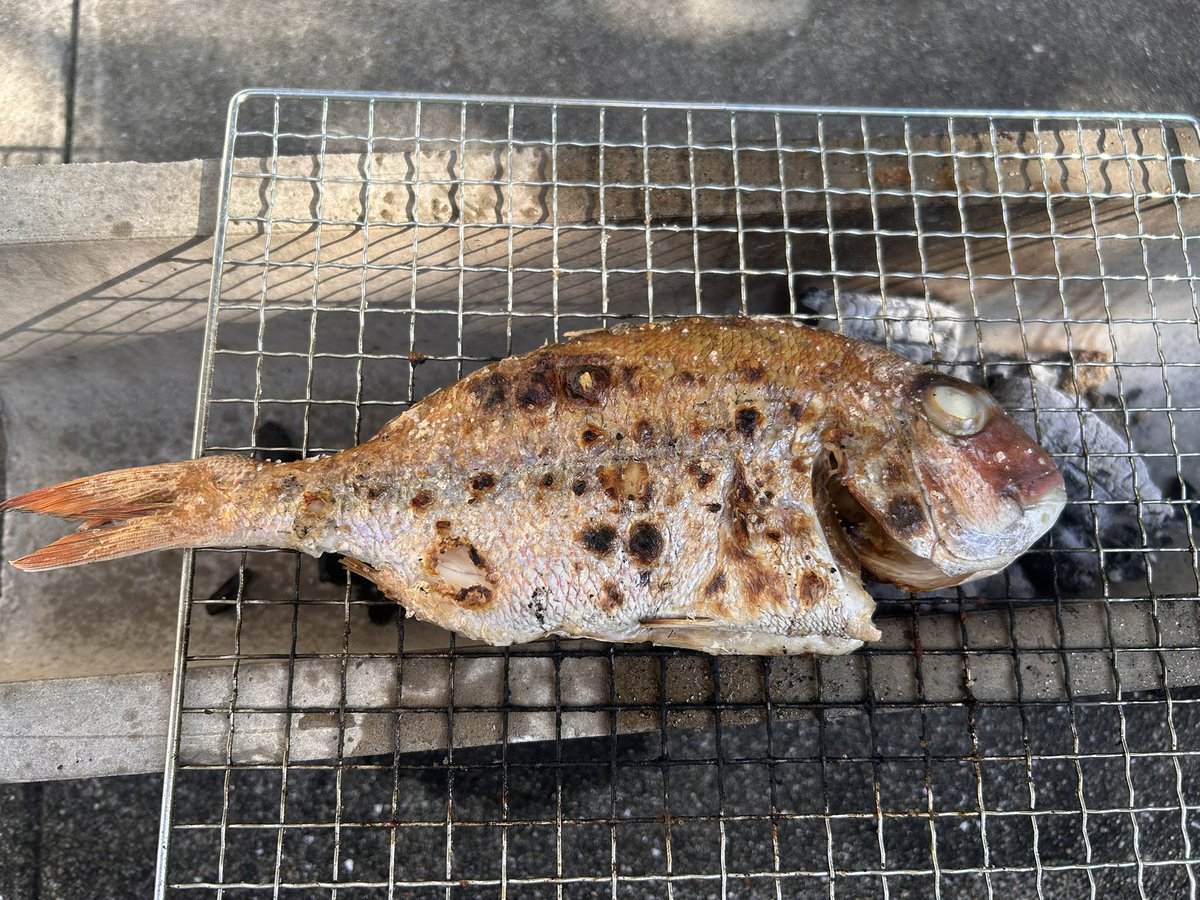 せっかく火を起こしたから鯛も焼いて隣のおじじにあげよう🐟🔥