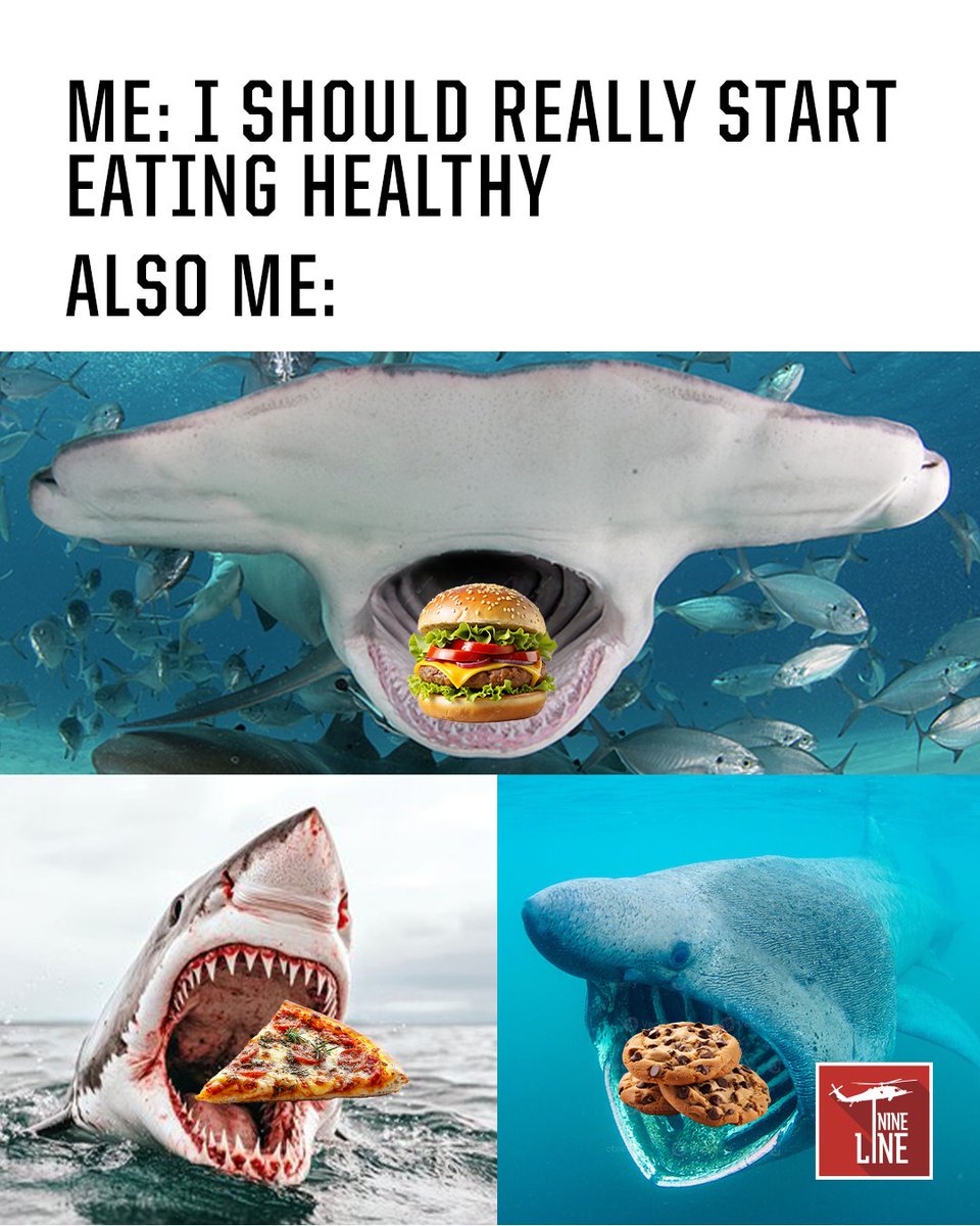NineLineApparel's tweet image. We might not be sharks… but we are circling the fridge.
#SharkWeek2025 #SharkWeekThings #FeedingFrenzy #NineLineHumor #NineLineApparel
