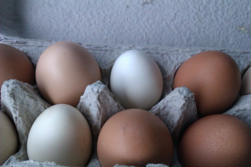 foodbeast's tweet image. Denny’s & Waffle House Remove Egg Surcharges 🥚🍳
Egg prices are finally cracking back down—and so are the surcharges. Denny’s and Waffle House have dropped their extra fees as bird flu cases ease and egg costs return to normal.