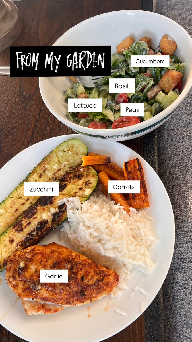 TheHannaRay's tweet image. the best part of having a garden 😍😋