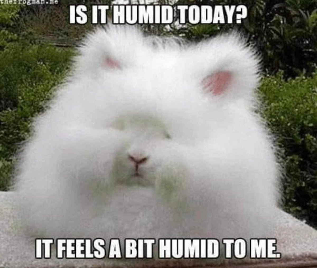 Yes, it’s that time of year!