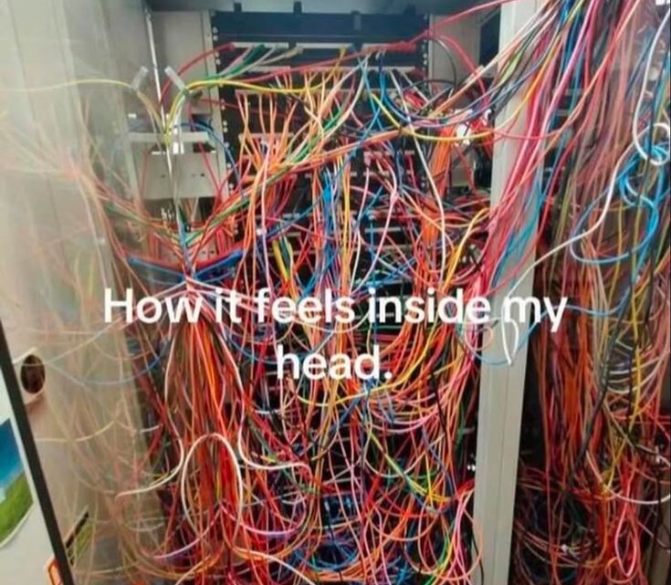 puntennyuak's tweet image. 
