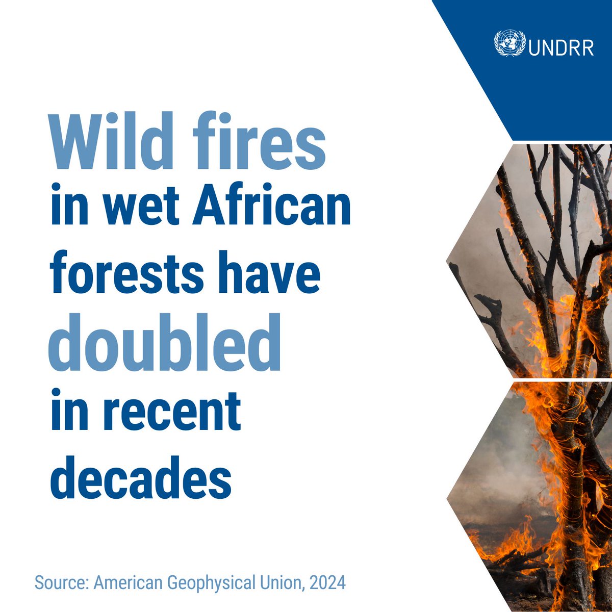 UNDRR's tweet image. "Wet forest fires can no longer be ignored."
🔥This @theAGU analysis of Africa’s wet, tropical forests reveals a 2x rise in wildfires. Learn more about the alarming increase in fire frequency, and the urgent need to address this overlooked threat ➡️ ow.ly/UyN450UEuV5