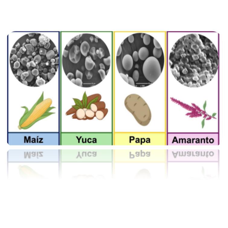 Almidón al rescate: creando empaques
sostenibles y biodegradables.
Descubre más acerca de este tema en la última publicación de Ciencia en #CIQA:
mailchi.mp/8ad2f3f6bc4a/c…
#almidon #ciencia