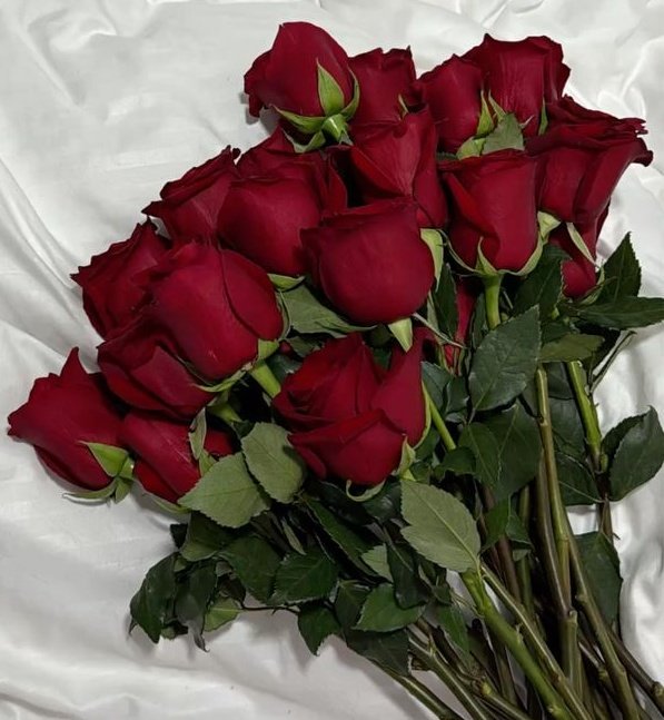 السلام علیکم ورحمتہ اللہ۔۔۔

سبحان اللہ وبحمدہ سبحان اللہ العظیم وبحمدہ استغفراللہ 
#نازلی 💗