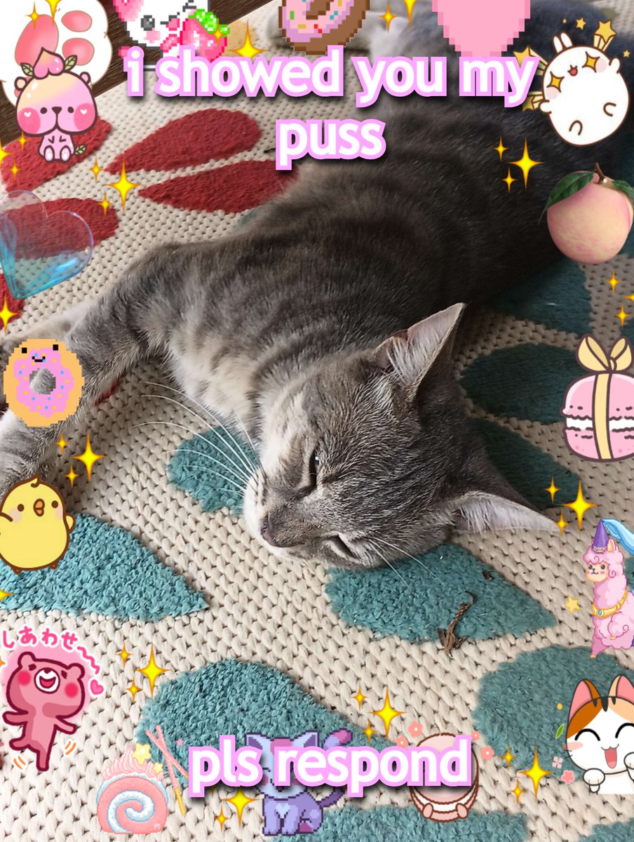 Starlight_Syd's tweet image. this catgirl's got a new family member ! !🥳
meet Wybie ! !
he's such a handsome lil purrbox 🐈⬛✨
show me your pet ! !🫵
discord kittens don't count🐱💜✨