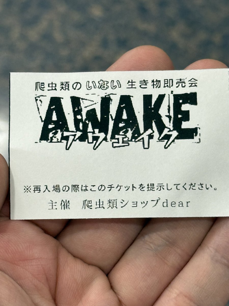 odonger2's tweet image. おはようございます!
週末はサソリ好きの息子についてイベントに行き、ムカデをお迎えしたのだ
ムカデ格好いい
まだ小さいから老眼にはよく見えないけど、大きくなったら作品にしてみようかしら