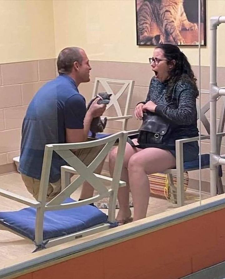 ARTIFAXING (@pedestrian) on Twitter photo 