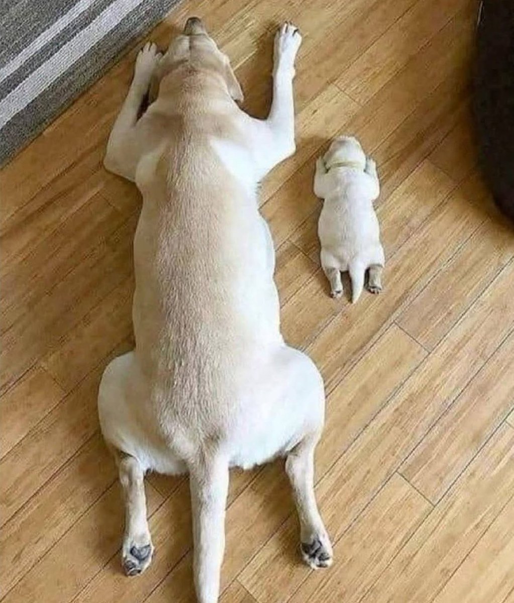 No DNA test needed