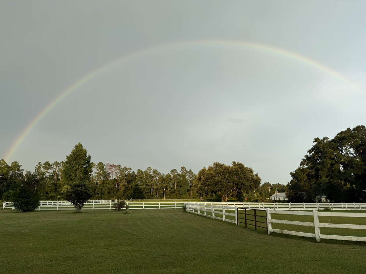 catturd2's tweet image. WOW - I just took this picture at the Catturd Ranch. 🔥 rainbow is really high in the sky more than normal.