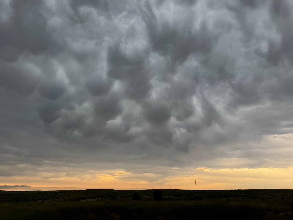 tornadopaigeyy's tweet image. HOLY WOW! Mammatus on Hwy 59 north of Broadus, MT in front of the severe warned storm