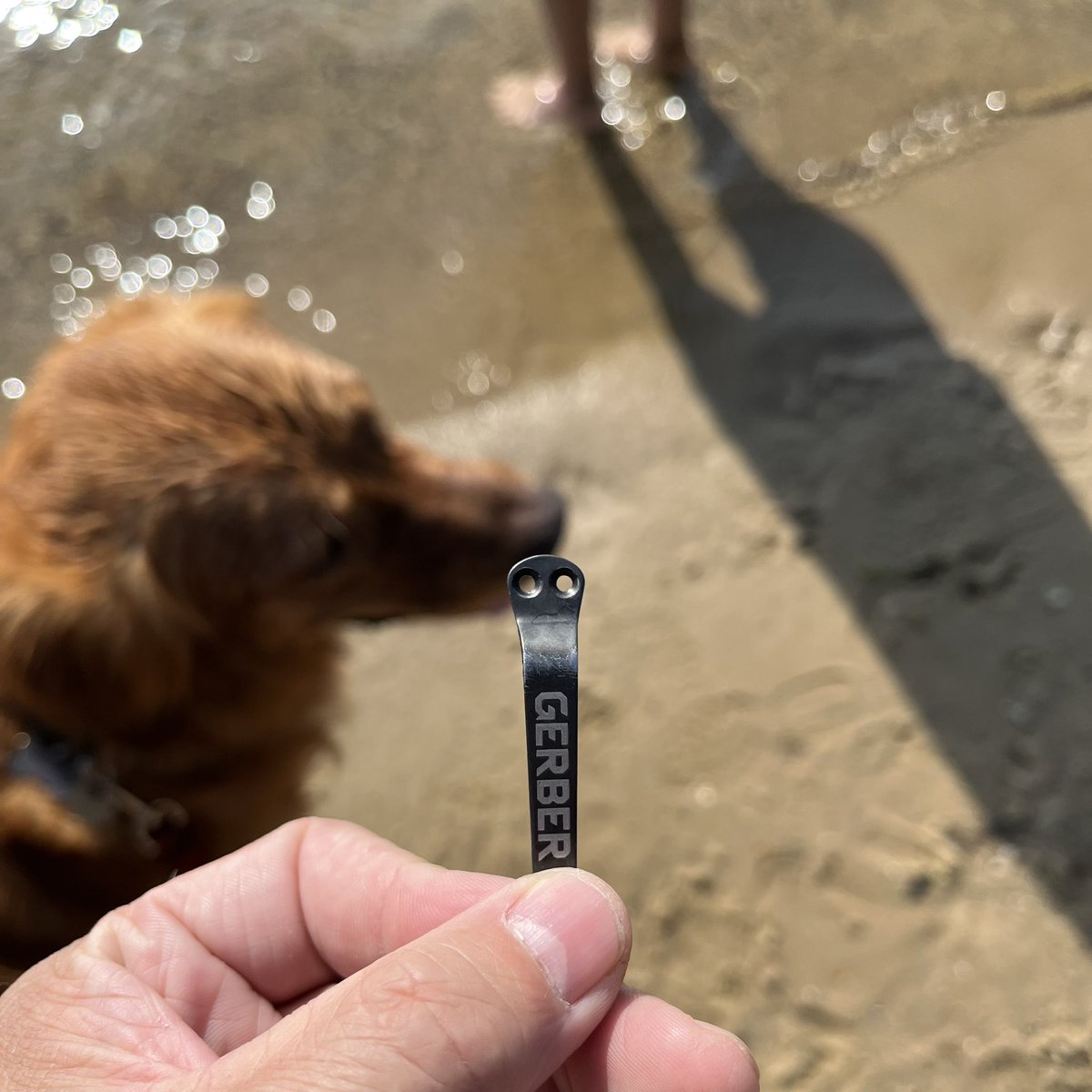 _JohnnyJones's tweet image. Found this at the beach. A moment of silence for our brother's lost knife --
