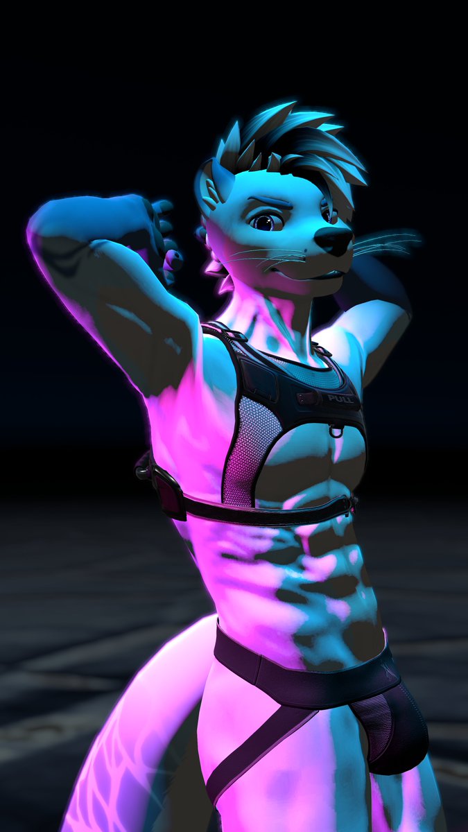 New harness came in! I'm liking the new fit so far..💙