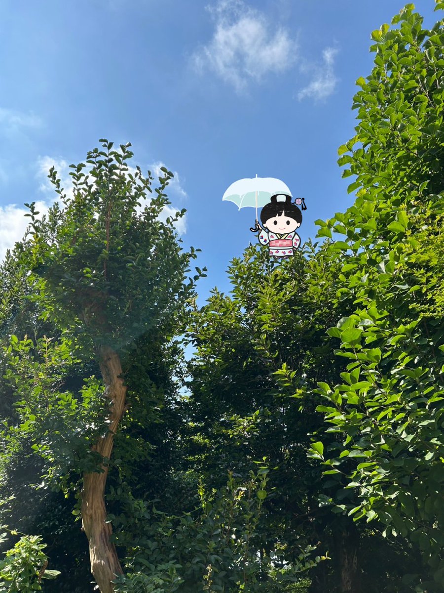 nobarako's tweet image. おはようございます🍀
7月22日火曜日
東京・駒込野ばら社の庭は晴れ
青空に緑が映えています🎐
週末の #スタンプフェスティバル ありがとうございました!
次回の出展は9月の紙博in東京🏃♂️です。
さあ
元気で、幸福で、
今日も励みます。
健康を祈ります。