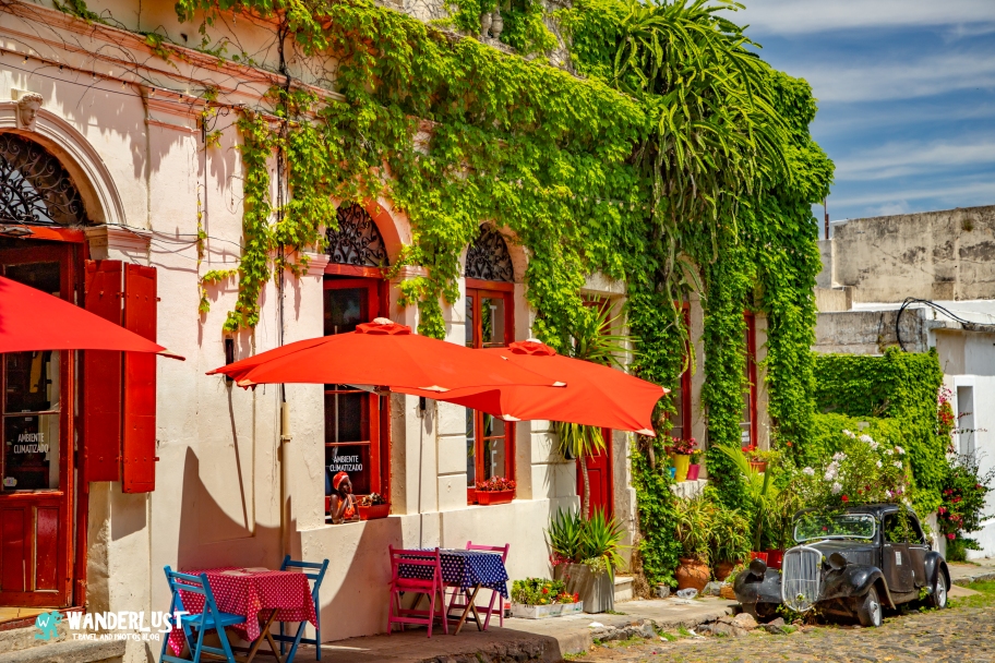 Captivating Moments: My Top Travel Photos of 2024

Immerse yourself in the beauty of travel through the lens of captivating photographs. Explore my top travel photos of 2024.

wanderlustphotosblog.com/2024/11/28/cap…

#TravelPhotography #Wanderlust #ExploreTheWorld #PhotoOfTheDay #TravelBlogger