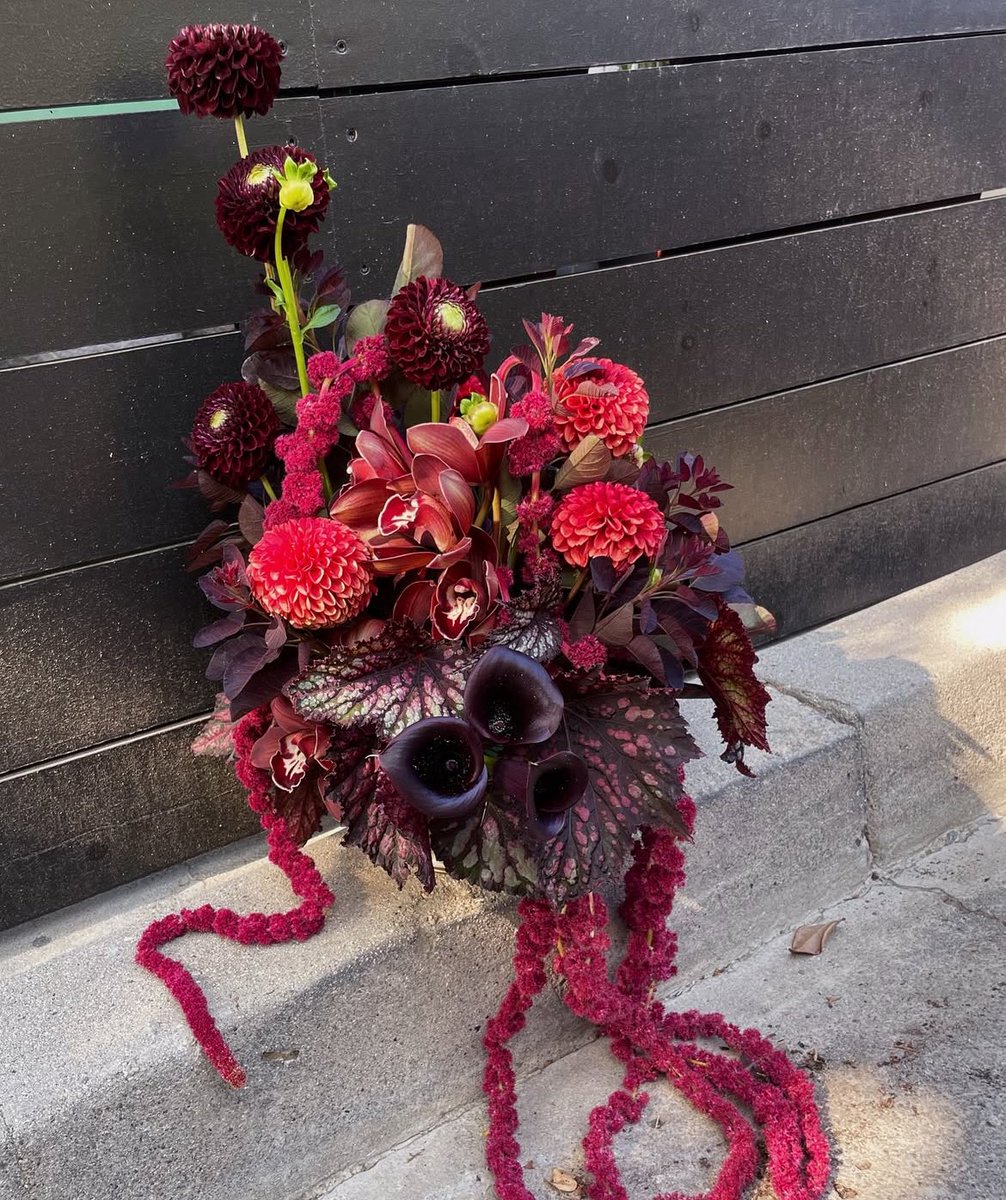 gabbriettedaily's tweet image. Buds Budding reveals a bouquet made for Gabbriette in celebration of the IKWYDLS release