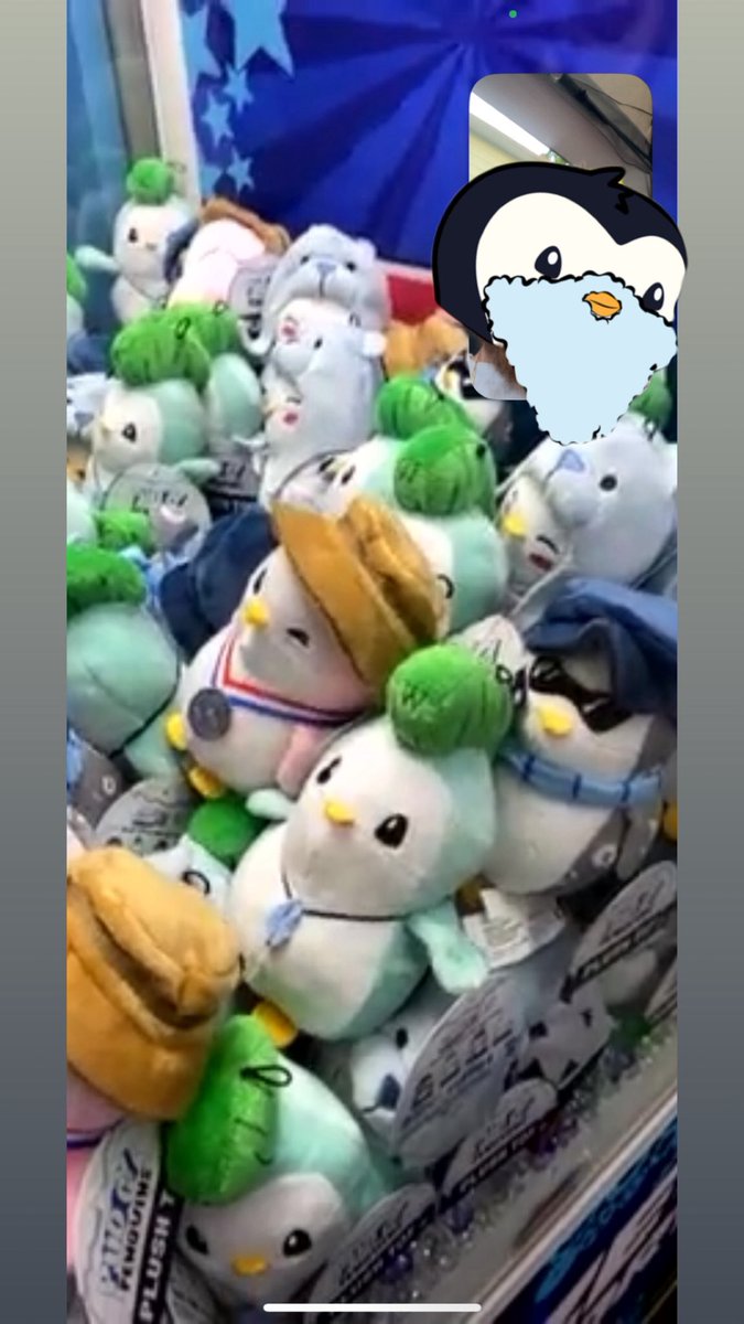 the30rack's tweet image. So my brother went to @Hersheypark in Pennsylvania.
He just FaceTimed me and told me to look what he found next to the Pokemon claw machine.
It’s @pudgypenguins !
I knew they are in Dave & Busters but it’s Hershey!
What other places could they be in?👀