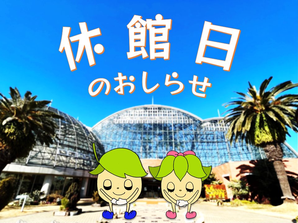 yumenetsu's tweet image. 【本日休館日】
ゆめねつ夜間開館2025へお越しいただきありがとうございました。
次回は来週7月27日、奄美祭り in TOKYO 夢の島です🌙