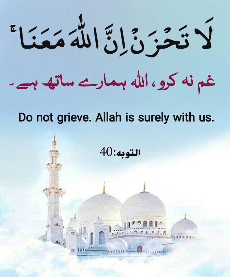 السَّلَامُ عَلَيْكُمْ وَرَحْمَةُ ٱللَّٰهِ وَبَرَكَاتُهُ` 

♥️*وَلَسَـــوْفَ يُعْطِيـــكَ رَبُّــكَ فَتَــرْضَــىٰ..*
*”اور یقیناً تمہارا رب تمہیں اتنا دے گا کہ تم راضی ہو جاؤ گے۔۔*♥️