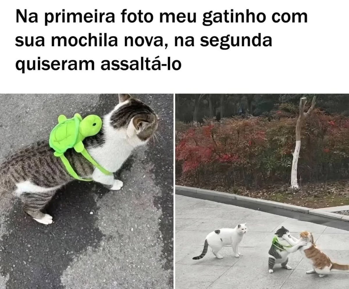 blognaointendo's tweet image. Esse país acabou