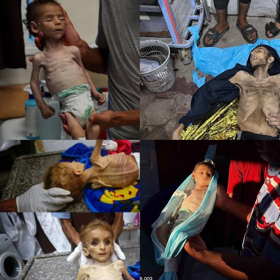 لــــــــدانــ tweet media