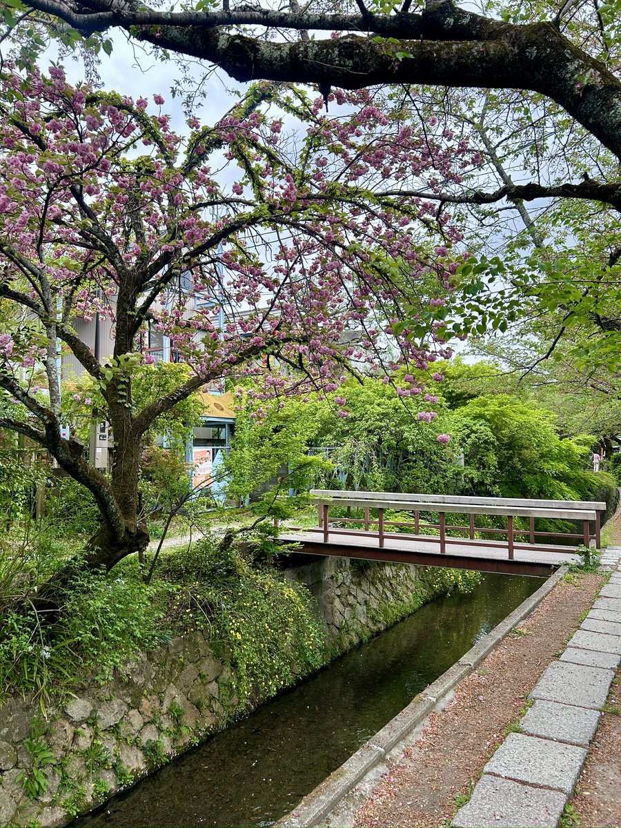 _kaiiloo's tweet photo. japan dumpy 🍡🍜🌸 https://t.co/O7Swy9LHHB