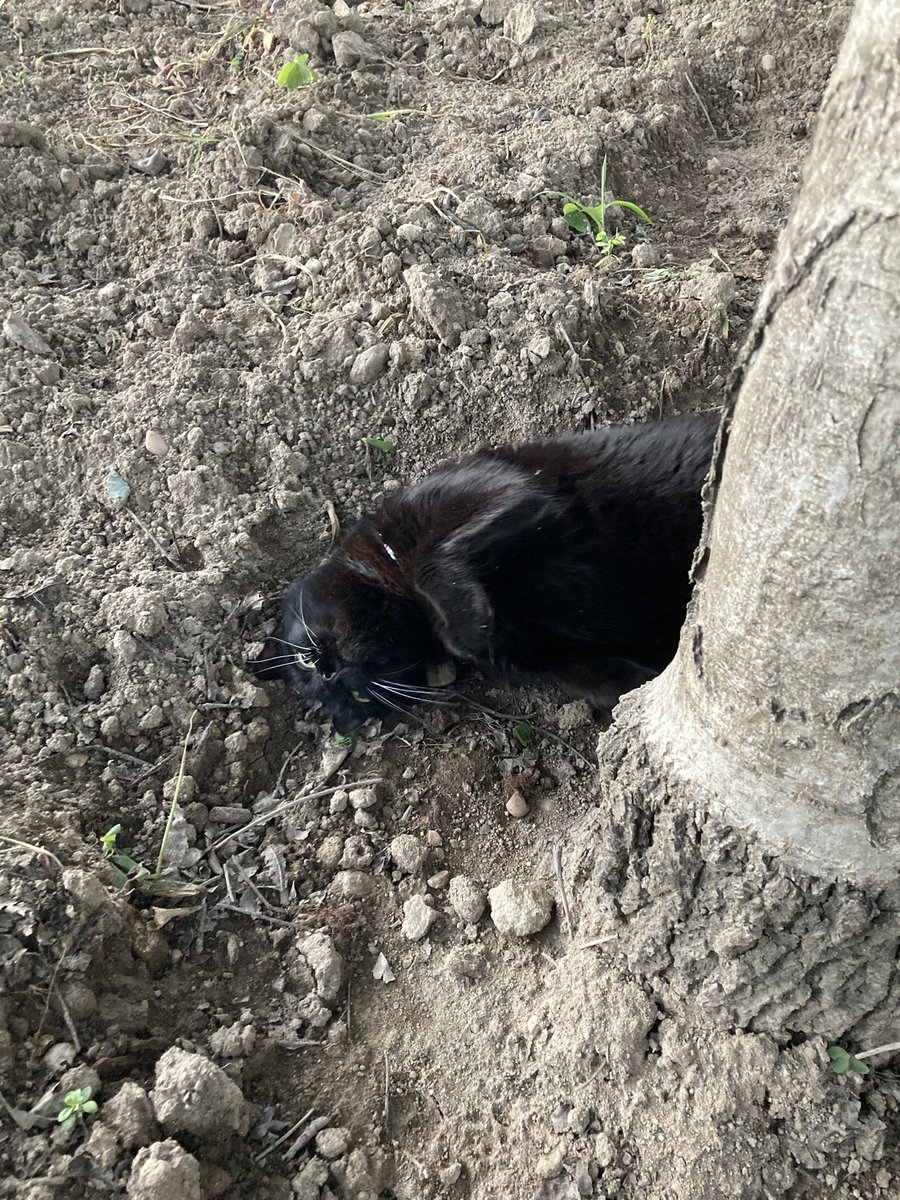 B2o la raclure (@braclure) on Twitter photo 