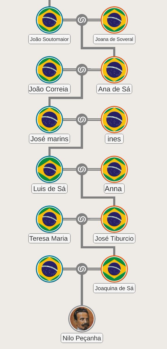 Ancestralidade de Nilo Peçanha, primeiro presidente Pardo do Brasil.

🇵🇹 35% Português
🇪🇸 20% Espanhol 
Negro 20%
🇷🇺10% Russo 
🇺🇦10% Ucrâniano 
🇧🇷 5% Indígena
🇭🇺 5% Húngaro
🇸🇪 2% Sueco
🇬🇷1% Bizantino-grego
🇬🇧1% Anglo Saxão