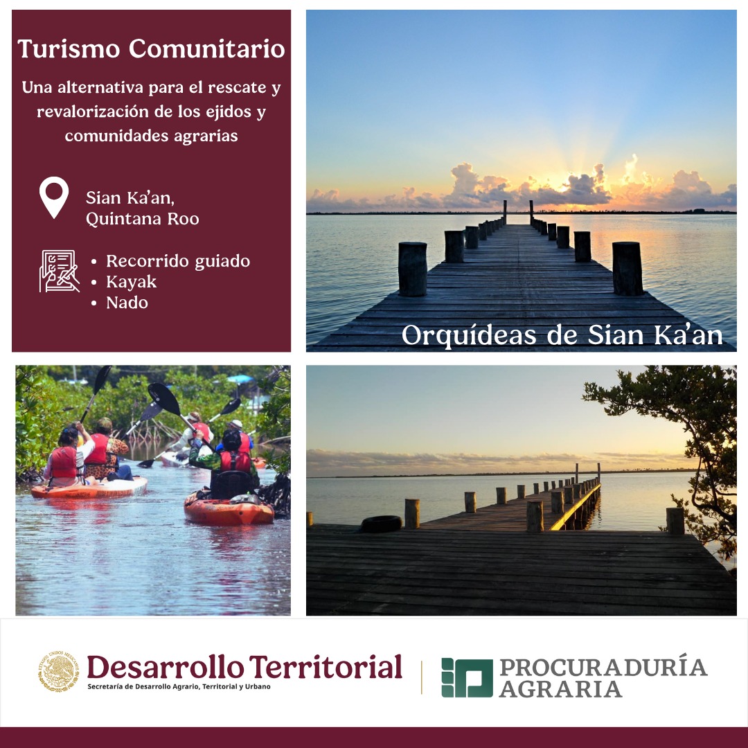 🏕️🏜️🌄 #TurismoComunitario

▶️ Una alternativa para el rescate y revalorización de ejidos y comunidades agrarias 🤝👩‍🌾🧑‍🌾