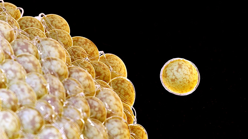 MedscapeES's tweet image. Los decesos por cáncer vinculados a la obesidad se triplicaron entre 1999 y 2020, con mayor impacto en adultos mayores, mujeres y personas de raza negra no hispanas, así como en áreas rurales y enfatizan prevención, equidad y políticas.
ms.spr.ly/6010sB0EE
