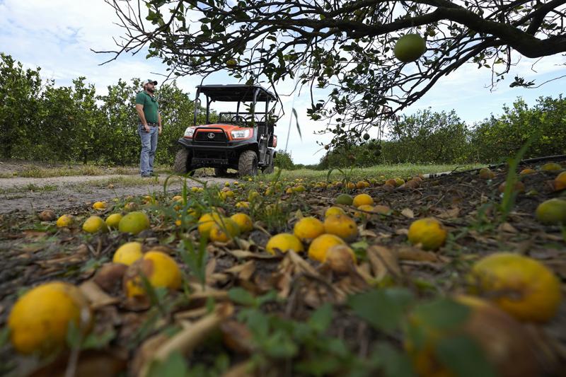 Fla_Pol's tweet image. Florida farmers to receive $675M in federal block grant for hurricane relief
Reporting by @MitchPerry18 of @FLPhoenixNews
flapol.com/40RBGWz
#FlaPol
