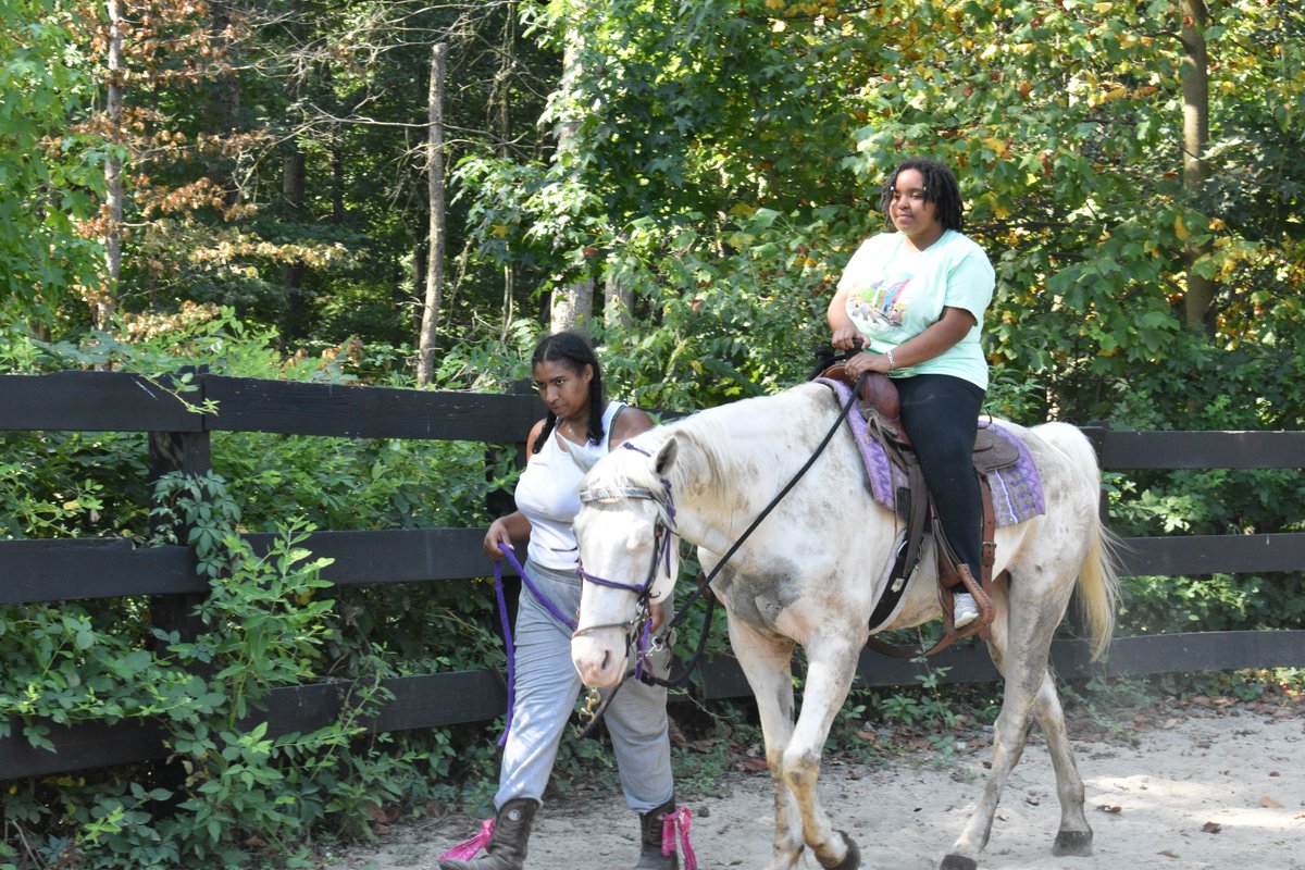 In Enrichment today, scholars stepped into their saddles and connected with farm animals! Every adventure we share is about seeing their confidence shine and giving them a chance to see the world through fresh eyes.🌟 

#freedomschoolct #summerofopportunity #buildingconfidence