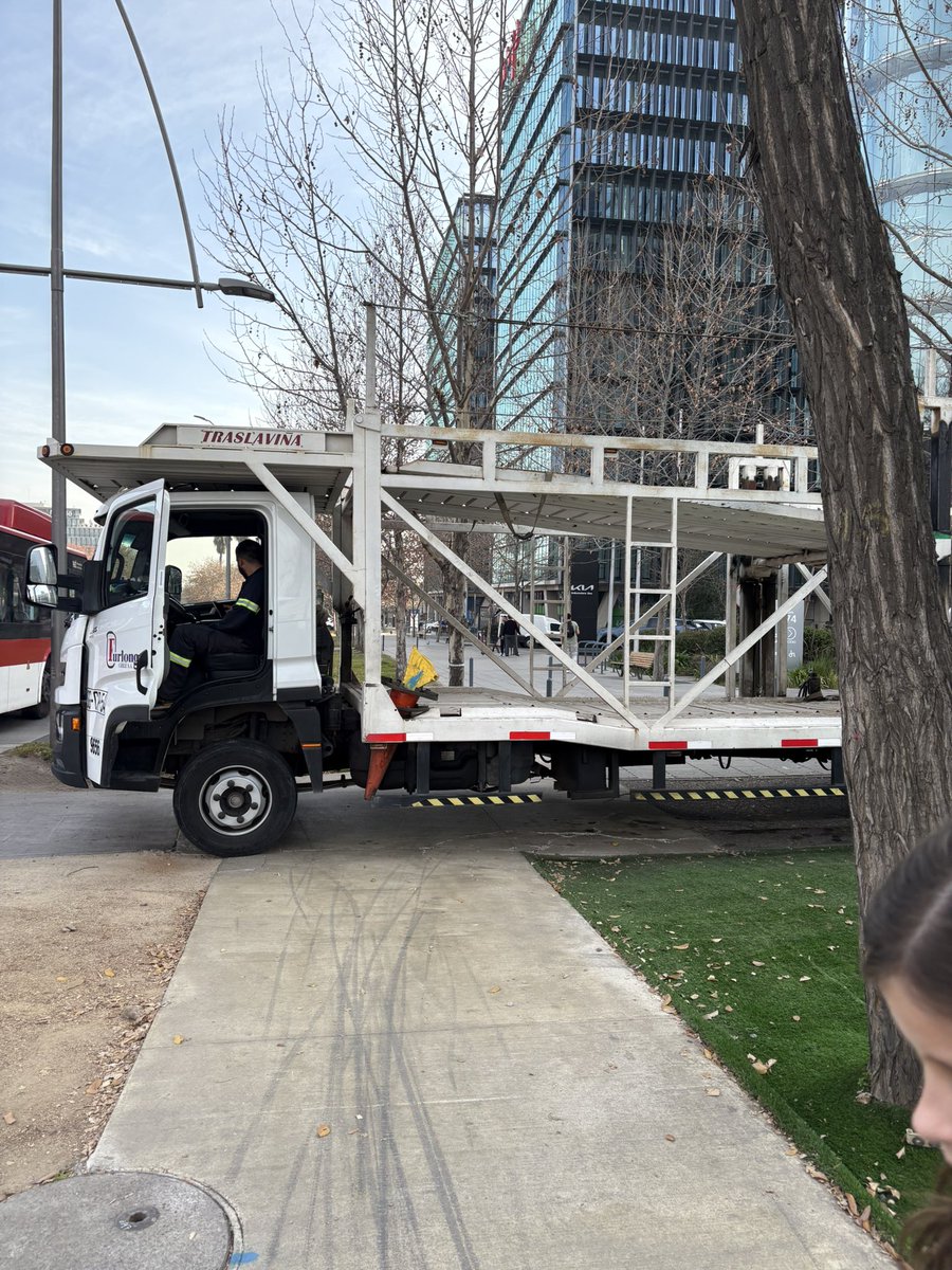 C. Olave Echenique tweet media