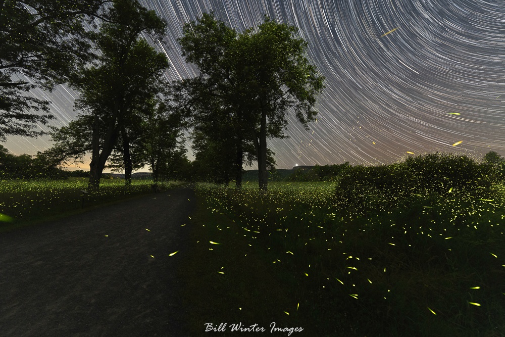 billxp845's tweet image. The Pin Oak Allee
Fireflies Dance In The Night
As The Stars Spin By
.⁠
.⁠
#haiku #sonyalpha #alphacollective #Iloveny #shawangunks #chronogram #newpaltz #mohonkpreserve #createnomatterwhat #bhcreators #sonycreators  #visitvortex #ulstercountytourism #ngphotographerchallenge