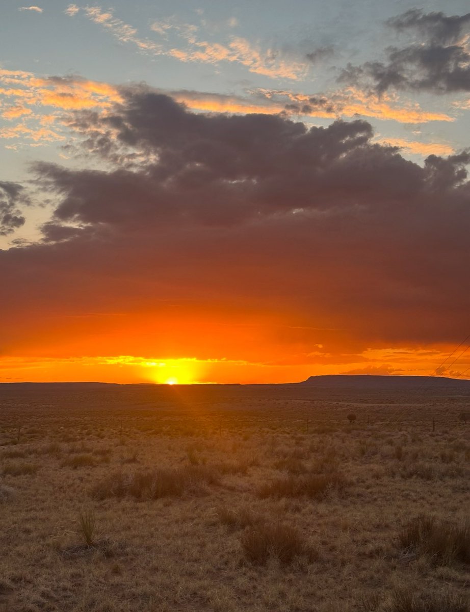 TryingTwoSmile's tweet image. Bros and @BunnyGirlBags…..  to those that have checked in with me, thank you.  I am good.  My boys and I are still off grid for another week or two.  I have satellite connection today, so I made this post.  ✌️➕❤️🫵