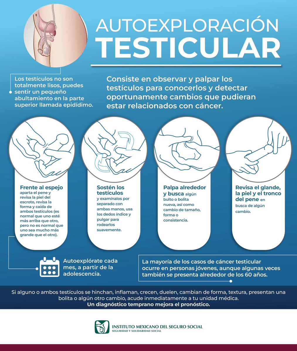 🧐 La autoexploración testicular es una herramienta sencilla pero fundamental para la detección temprana del cáncer testicular 

Si alguno o ambos testículos se hinchan, inflaman, crecen, duelen, cambian de forma, textura, presentan una bolita o algún otro cambio, acude
