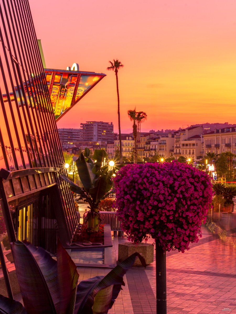 ๐ค๐๐ก๐๐๐๐๐๐ค (@slpcannes) on Twitter photo Tout รฉtait rose et rouge lors de ce coucher de soleil
( rรฉalisรฉ le 05/6/25)
Belle soirรฉe
#Cannes #CannesFrance #CotedAzurFrance
<a href="/Cannes_France/">Cannes, France</a> <a href="/villecannes/">Cannes</a> <a href="/VisitCotedazur/">Cรดte d'Azur France</a> Tout รฉtait rose et rouge lors de ce coucher de soleil
( rรฉalisรฉ le 05/6/25)
Belle soirรฉe
#Cannes #CannesFrance #CotedAzurFrance
<a href="/Cannes_France/">Cannes, France</a> <a href="/villecannes/">Cannes</a> <a href="/VisitCotedazur/">Cรดte d'Azur France</a>