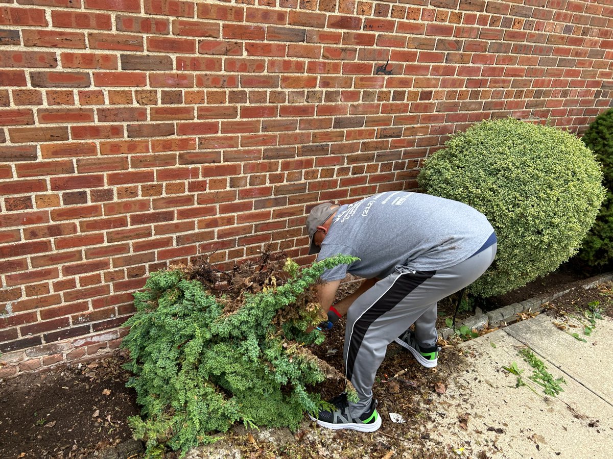 NYCAging's tweet image. Community uplift in full bloom! 🌿✨ This Alpha Phi Alpha Older Adult Center Beautification Project brought together volunteers, vision, and vibrant energy to transform the space into a warm, inviting place for older adults. #NYCAging