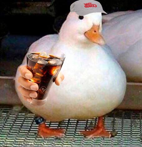 DengDeWhey's tweet image. knowers kno