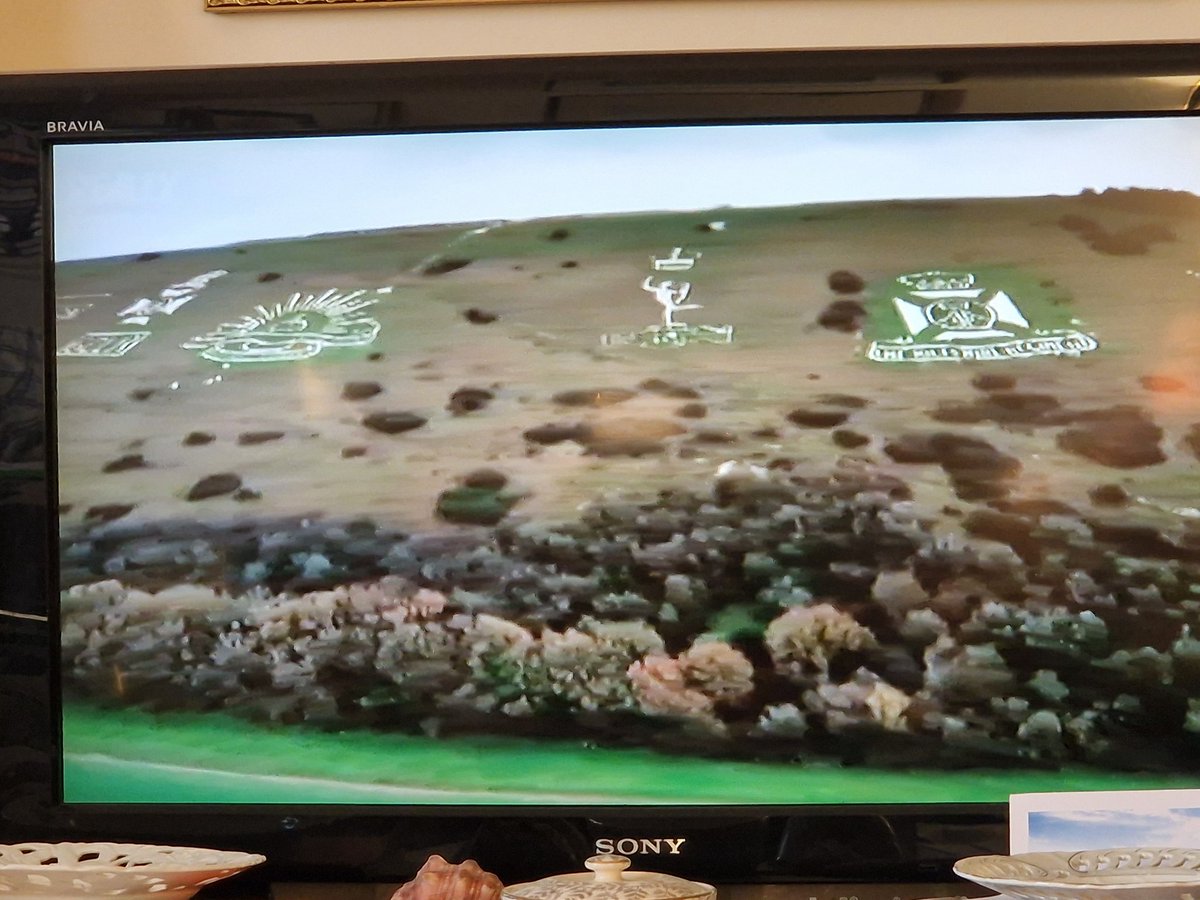 militaryhistori's tweet image. A happy overlap of two of my interests: the Antiques Road Trip visits the WW1 Badges at Fovant, near where I use to live in the Chalke Valley.