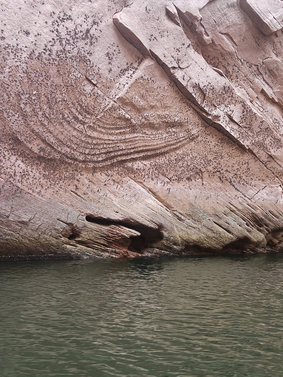 TalkWithSally's tweet image. Who or what do you think left this mark on th canyon wall?
Do you think it was simply nature and coincidence?