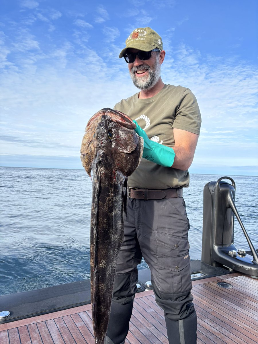 J.K. Rowling tweet media