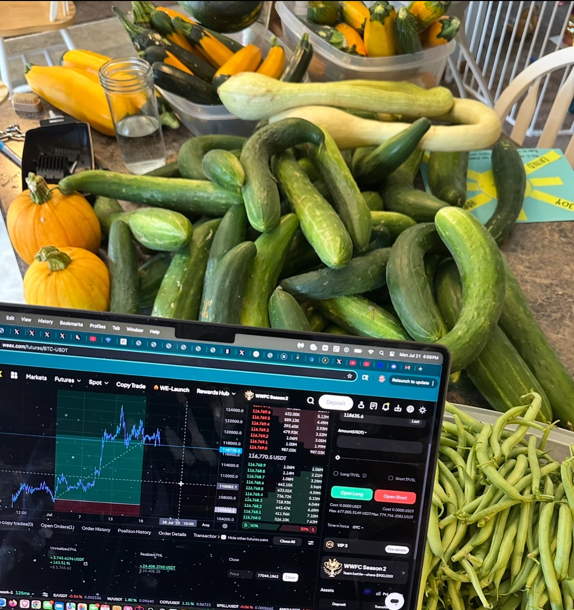 jayson_casper's tweet image. The perfect combo: Gains in the charts & gains in the gardens!