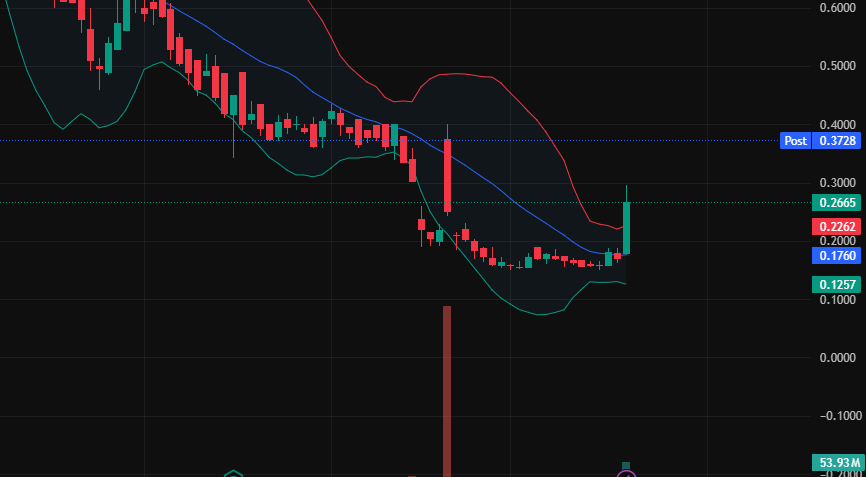 stock trader morgan vanderbilt tweet media