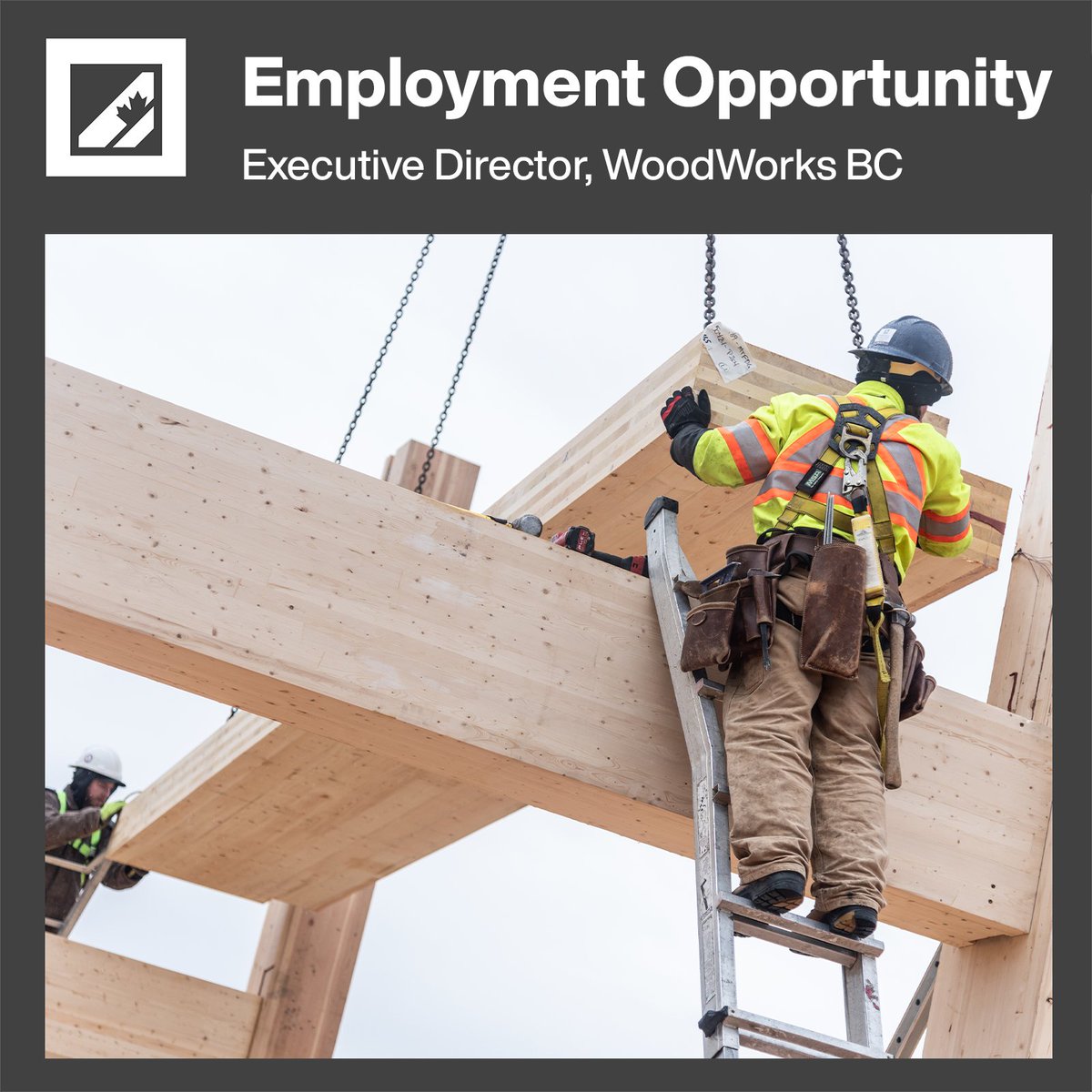We're Hiring: Executive Director, WoodWorks BC

The Canadian Wood Council is hiring a new leader to guide its WoodWorks BC program. Based in Vancouver (hybrid), this is a senior role focused on driving market growth, building strategic partnerships, and advancing wood use in