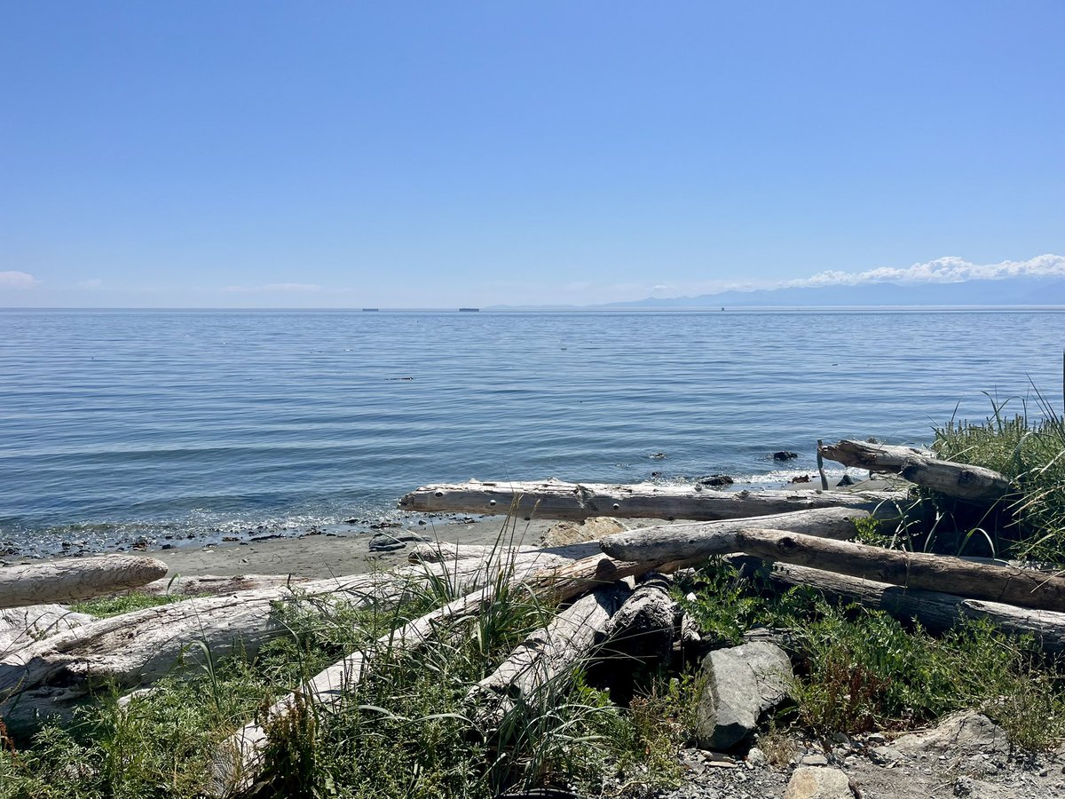 tessvanstraaten's tweet image. 😎 My office for today… hard to beat!
#VictoriaBC #YYJ @cityofcolwood