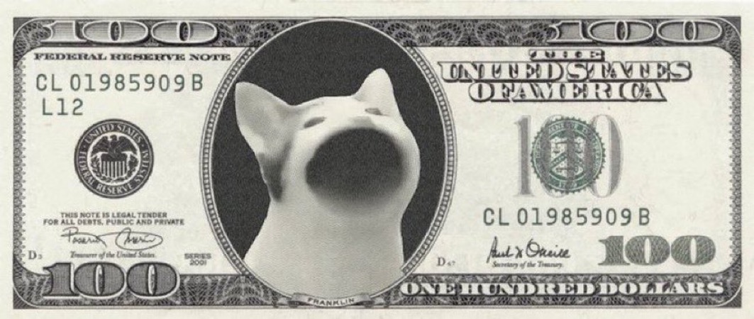 POPCATSOLANA's tweet image. Dogs 144billion cumulative in 2021
What are your targets for cats as a whole in 2025-2026?
The popcat community firmly believes that popcat is here to take the King throne against the top dog.
Popcat has a destiny to be fulfilled.
Understand the mission and goal.
Understand…